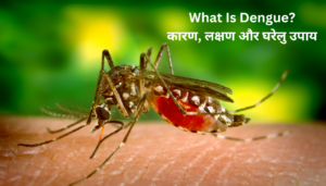Read more about the article Dengue Symptoms In Hindi – जानिए कारण, उपचार और क्या खाना चाहिए